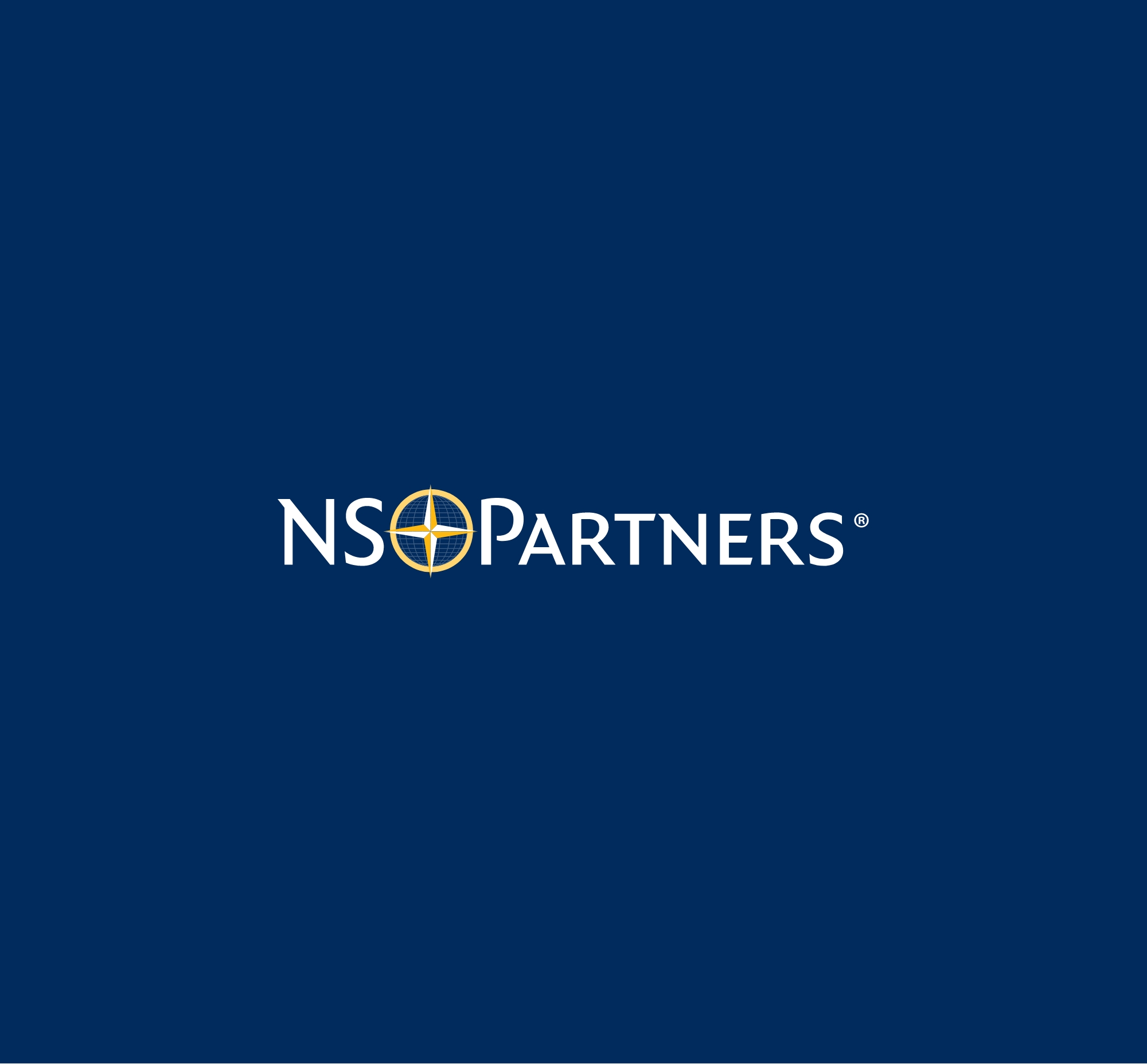 ns-partners-insights-1.jpg